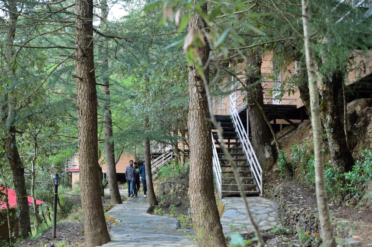 Aamod At Shoghi Luxury Cottage Resort Shimla Exterior photo